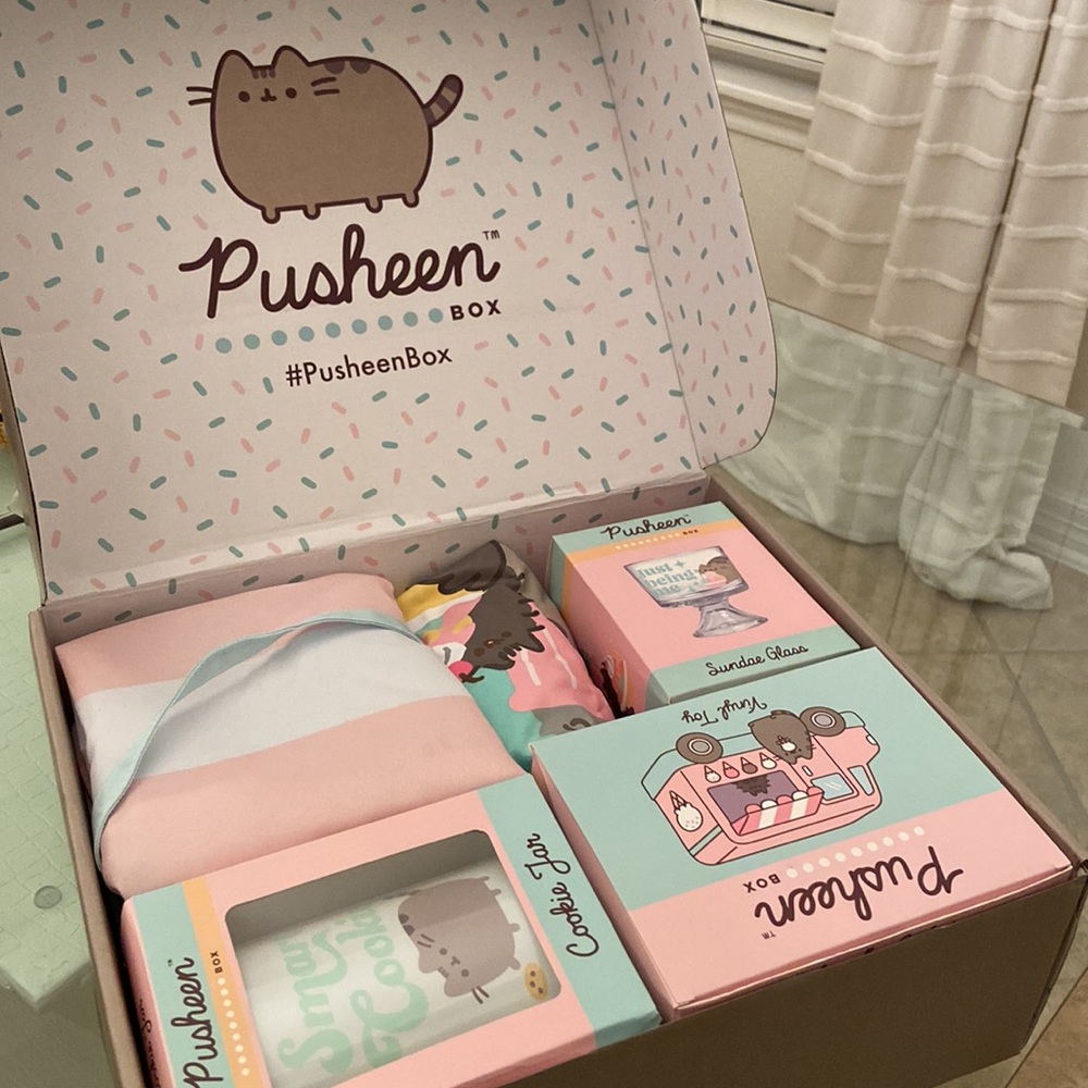 Pusheen Box Ice Cream Themed Brand New With Salt & Pepper Shakers